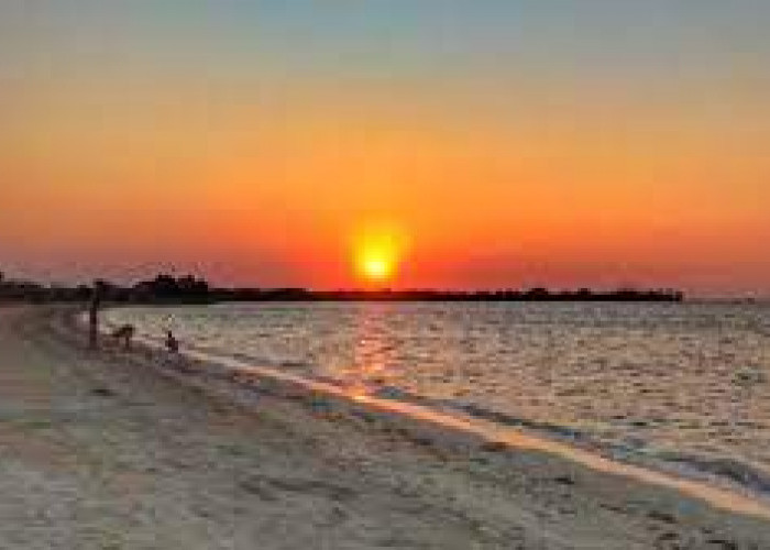 Saksikan Keindahan Sunset, Wisata Terbaru 2024 Jepara, Pantai Pungkruk Jadi Pilihan Favorit Nomor 1 