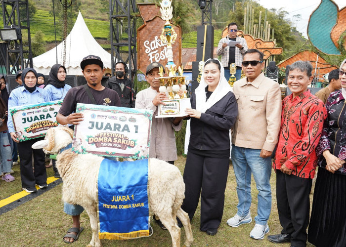 Dongkrak Potensi Wisata Hingga Budaya Lokal, Kontes Domba Sakub dan Fun Trail Run Meriahkan SAKALI FEST Brebes