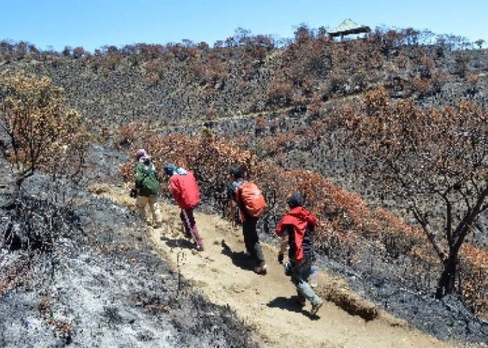 Pesona Wisata Terbaru 2024 Gunung Lawu? Simpan Sejuta Keindahan, Cocok Buat Liburan Cek Jalur Pendakiannya