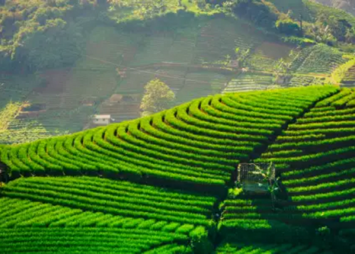 Lagi Hits Tempat Wisata di Majalengka Paling Instagramable untuk Liburan Seru dan Menenangkan