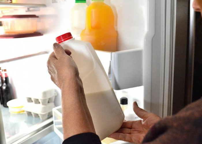 Panduan Menyimpan dan Membekukan Susu Dalam Merek Kulkas Terbaik, Kesegaran Produk Terjamin