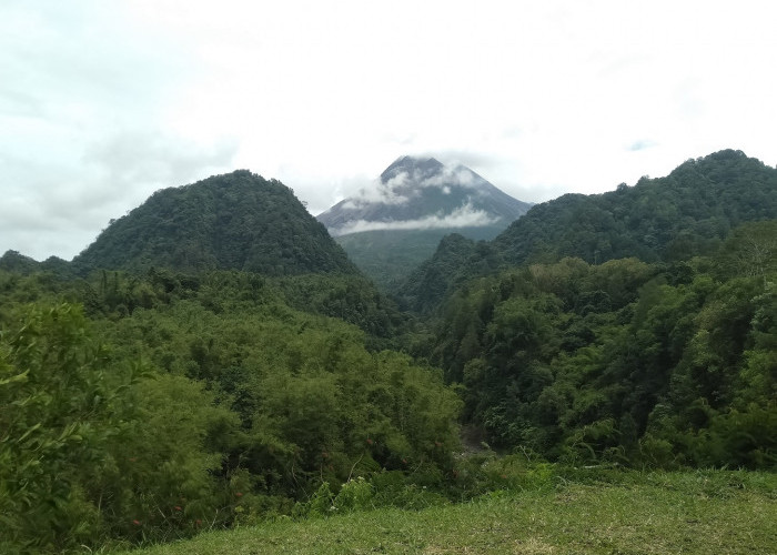 Meski Awan Panas Guguran Muncul, BPPTKG Pastikan Merapi Tetap Aman