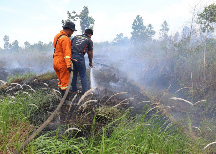 Karhutla di Indonesia Capai 48.889 Hektare, Guru Besar UGM Dorong Penguatan Penjagaan Hutan