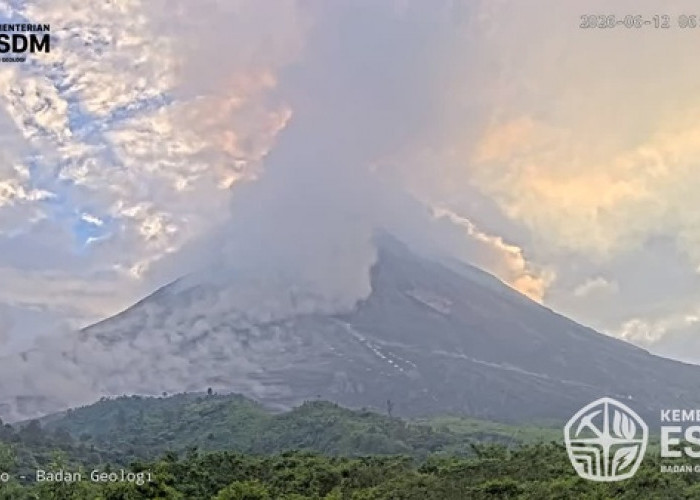 Awan Panas Guguran Merapi Meluncur 2 Kilometer Pagi Ini, Warga Diminta Jauhi Alur Sungai