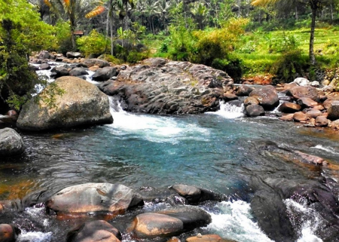 Ketenangan di Tengah Alam Jadi Daya Tarik Utama Riverside Coffee Cadas Ngampar Ciamis, Berikut Ulasannya