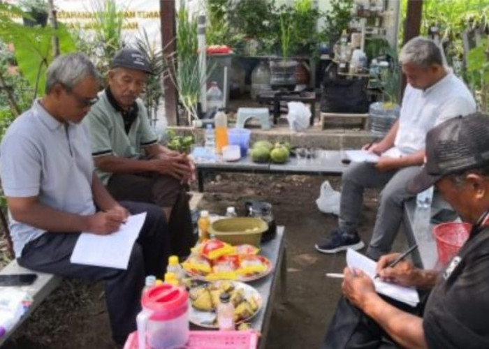 Warga Kalimantan Belajar Budidaya Lele dan Alpukat ke Sleman, Tertarik Model Pemberdayaan Lereng Merapi