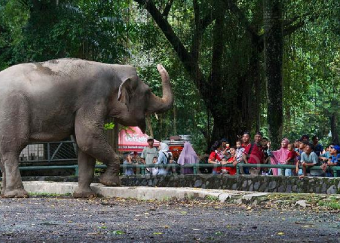 Destinasi Wisata Jakarta Ini Cocok Dijadikan Rekreasi Terjangkau untuk Keluarga, Cek Info Selengkapnya Disini