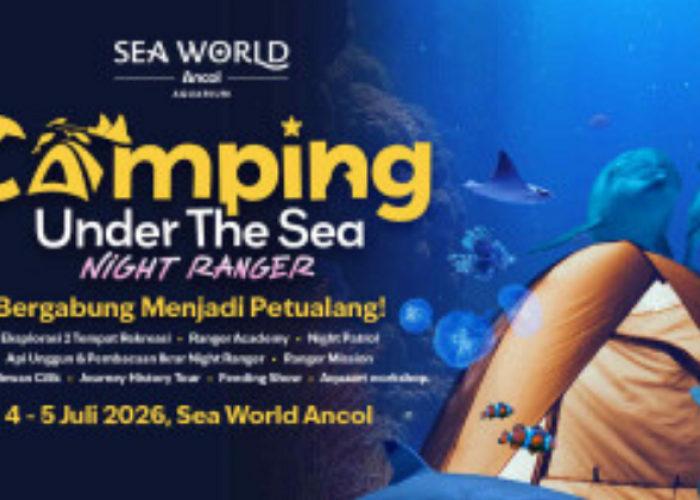 Wisata Edukasi Jakarta Under Sea Night Ranger, Pengalaman Menginap di SeaWorld Ancol 