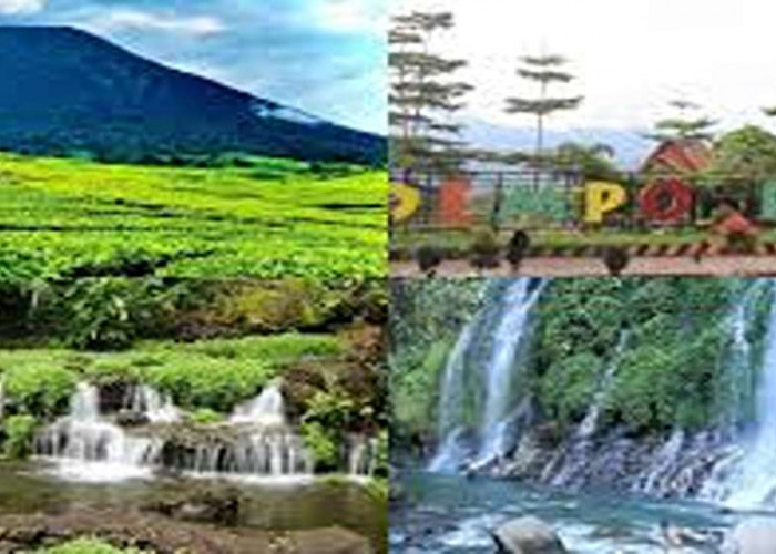 Sejuk dan Seru! 8 Tempat Wisata Hits Kota Pagar Alam, Estetik Banget Wajib Masuk Wishlist