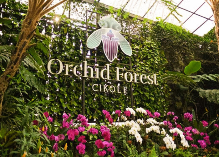 Wisata Orchid Forest Cikole Bandung: Sensasi Liburan Bak Pegunungan Oregon di Amerika, Cek Disini