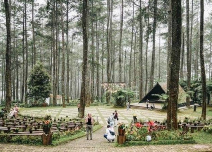 Rekomendasi Wisata Dekat Tangkuban Perahu, Menarik Dikunjungi untuk Pengalaman Liburan Lengkap