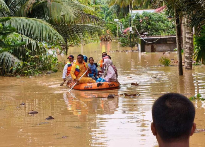 Rp 1,2 Triliun Sehari Bisa Selamatkan Korban Banjir Sumatera, JCW Desak Presiden Alihkan Anggaran MBG