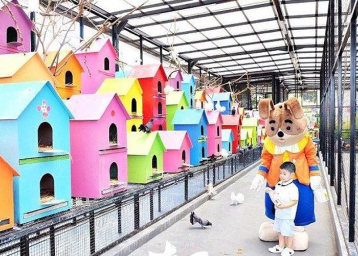 Liburan Keluarga di Bandung? Wisata Terbaru 2024 Rabbit Town, Rasakan Sensasi Seru dan Edukatif Ternak Kelinci