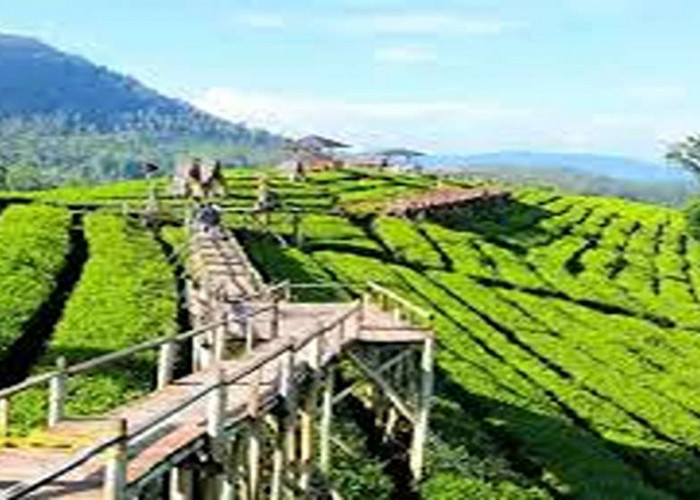 Pesona Memukau 2025! Simak Pilihan Tempat Wisata Pangalengan Bandung, Destinasi Ideal Untuk Liburan Panjang