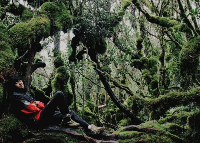 3 Fakta Menarik Wisata Terbaru 2024 Gunung Singgalang: Sajikan Telaga Cantik di Bekas Kawahnya, Cek Disini