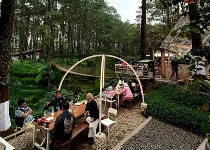 Rekomendasi Tempat Nongkrong Ciwidey Paling Asyik Buat Ngumpul, Menu Enak Harga Aman