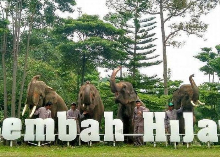 8 Wisata Terbaru 2024 Lampung, Pesonanya Estetik Tak Terkalahkan Jadi Incaran Wisatawan Simak Info Lengkapnya