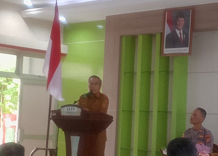 Bantul Pacu Pendapatan Petani Lewat Gabah dan Jagung