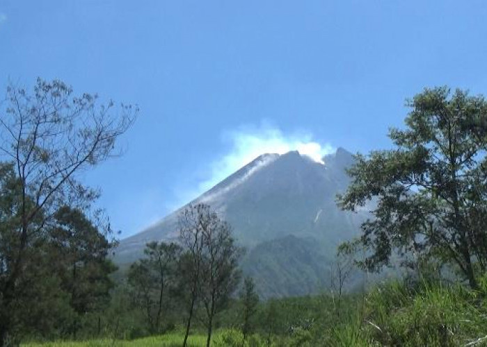 Merapi Luncurkan 5 Guguran Lava Sejauh 1,4 Kilometer, Warga Diminta Jauhi Zona Bahaya