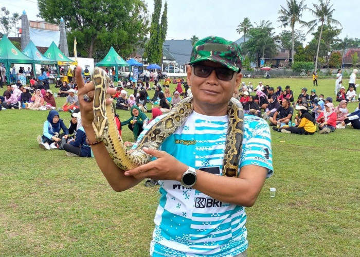 Saat Hadapi Ancaman Ular, Warga Diminta Tetap Tenang dan Tak Bertindak Gegabah