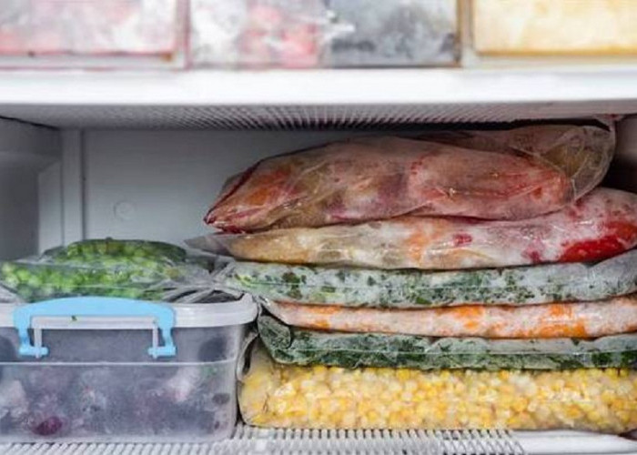 Cara Memperbaiki Freezer Merek Kulkas Terbaik Yang Bocor, Ini Penyebabnya