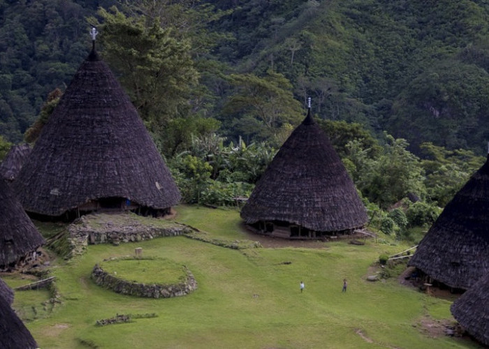Wisata Terbaru 2024 Desa di Atas Awan? Pesona Desa Wae Rebo Nusa Tenggara Barat, Cek Disini!