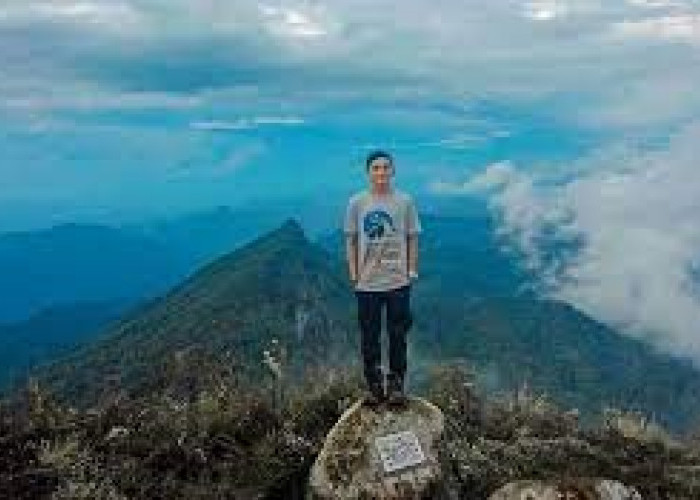 Hiking di Wisata Terbaru 2024: Puncak Gunung Halau-halau, Kalsel Punya Pesona Keindahannya