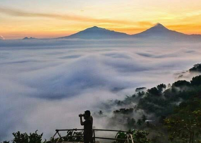Cara Asyik Keliling Magelang dengan Trans Jateng hingga Spot Alam Instagramable