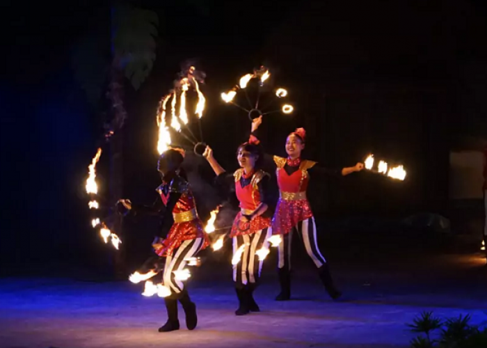 Safari Night Adventure Solo, Sensasi Menjelajah Hutan di Tengah Kota