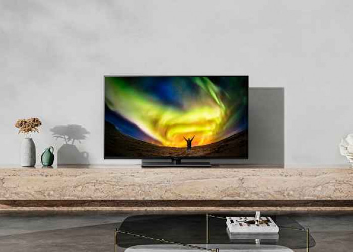 Smart TV Terbaik Panasonic OLED TV TH-48LZ1000G Menawarkan Desain Elegan