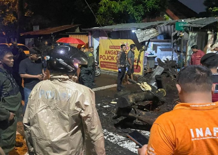 Dampak Cuaca Ekstrem di Yogyakarta, Pohon Besar Tumbang Timbulkan Korban Jiwa