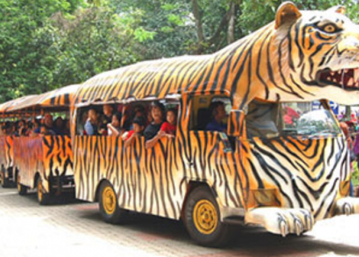 Cara Seru Keliling Ragunan Tanpa Harus Lelah Berjalan Kaki Saat Momen Liburan Bersama Keluarga 