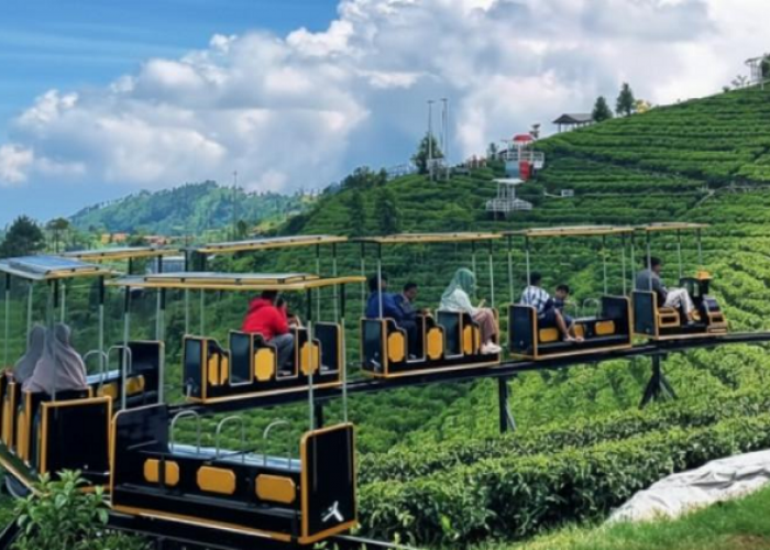 Kafe Hits Dekat Kemuning Sky Hills Karanganyar Paling Instagramable jadi Tempat Nongkrong Cozy 