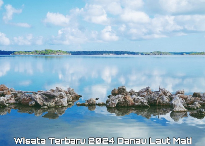 Danau Laut Mati: Wisata Terbaru 2024 Pulau Rote, Pilihan Favorit Wisatawan