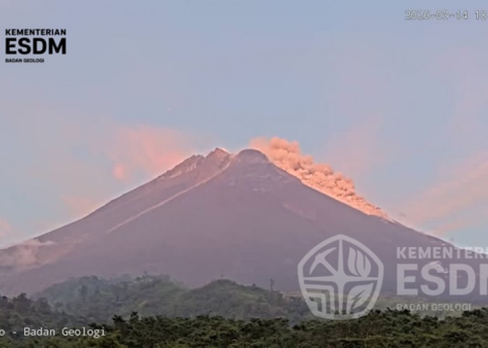 Awan Panas Guguran Terjadi di Gunung Merapi Sabtu Sore, Jarak Luncur 1,5 Km ke Arah Kali Boyong