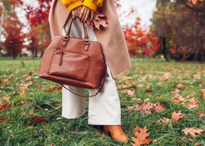 Tips Memilih Jenis Tas Wanita Sesuai Kebutuhan yang Harus Diketahui, Simak Disini