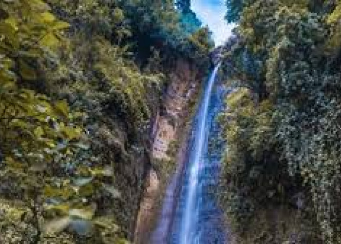 Wisata Awal Tahun Air Terjun Tersembunyi Antara Pepohonan, Curug Sidoharjo Jadi Curug Tertinggi Kulon Progo