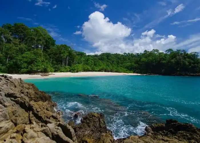 Destinasi Wisata Terbaru 2024 Pantai Banyuwangi, Cocok Untuk Sunlust Tourist