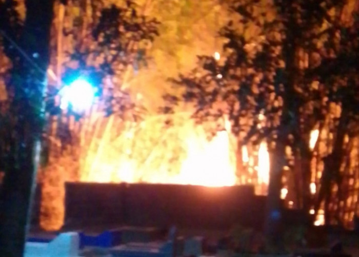 Api Membakar Pepohonan Bambu di Ngabean, Dua Armada Damkar Dikerahkan