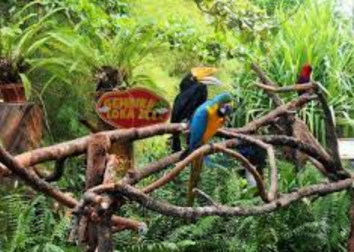 Liburan Hemat ke Gembira Loka, Update Terbaru Cara Dapat Tiket Gratis untuk Keluarga dan Wisatawan
