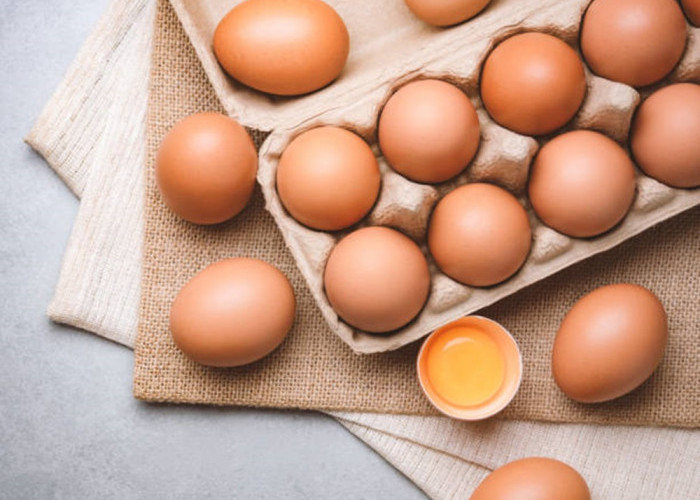 Mudah Dibuat! 4 Resep Olahan Telur untuk Menu Buka Berbuka Puasa dan Sahur yang Praktis, Anti Ribet
