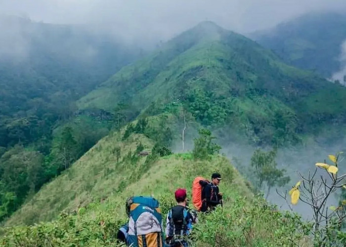 Hiking Seru di Wisata Terbaru 2024 Gunung Wilis, Simpan 5 Fakta Menarik, Buruan Cek Disini