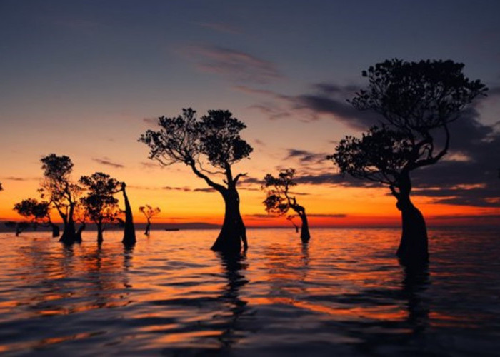 7 Pantai di Sumba dengan Pemandangan Terindah, Pesonanya Dijamin Bikin Kamu Speechless