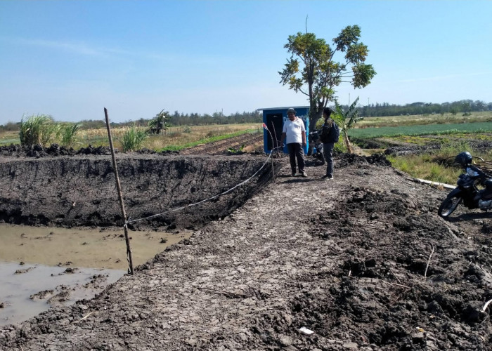 Cegah Kekeringan Irigasi, 3 Kecamatan di Kabupaten Tegal Dibangun Embung