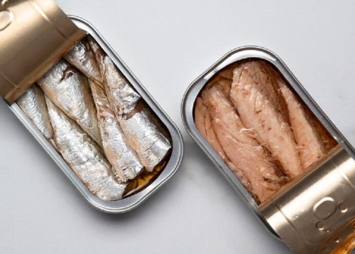 Cara Menyimpan Ikan Dalam Merek Kulkas Terbaik Jenis Freezer Agar Awet
