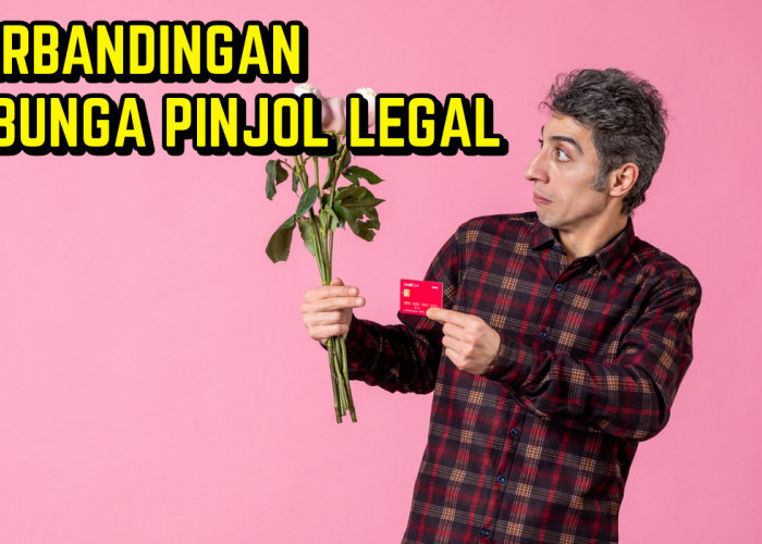 Perbandingan Bunga 5 Pinjol Legal Paling Banyak Digunakan, Calon Nasabah Wajib Paham!