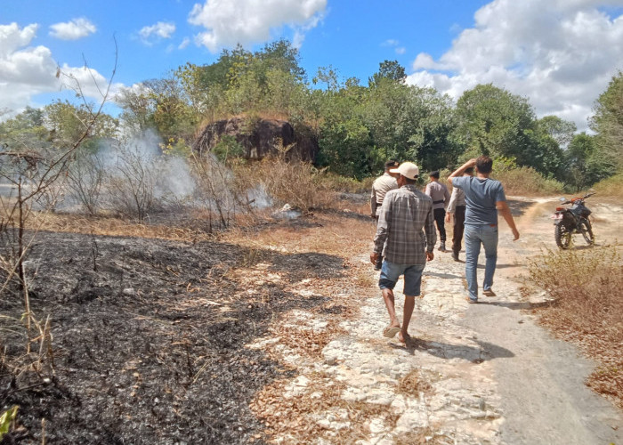 Kebakaran Lahan 2.000 Meter Persegi di Piyungan Bantul, Diduga Dipicu Puntung Rokok