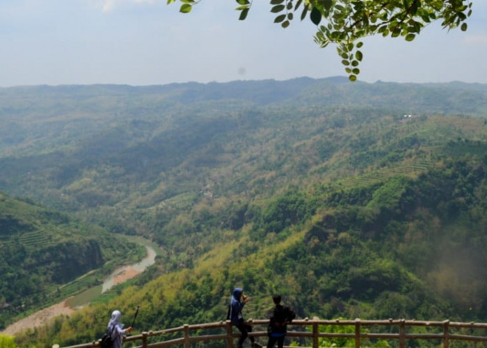 Pengalaman Wisata Terbaru 2024 di Tebing Keraton Jogja! Temukan Surga Tersembunyi di Atas Bukit