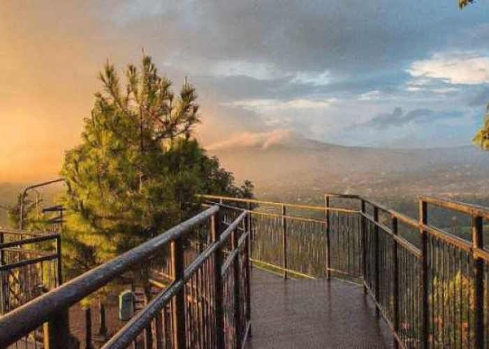 Eksotisme Tahura Djuanda Bandung, Pesona Hutan Raya Ikonik, Goa Jepang Wisata Alam 