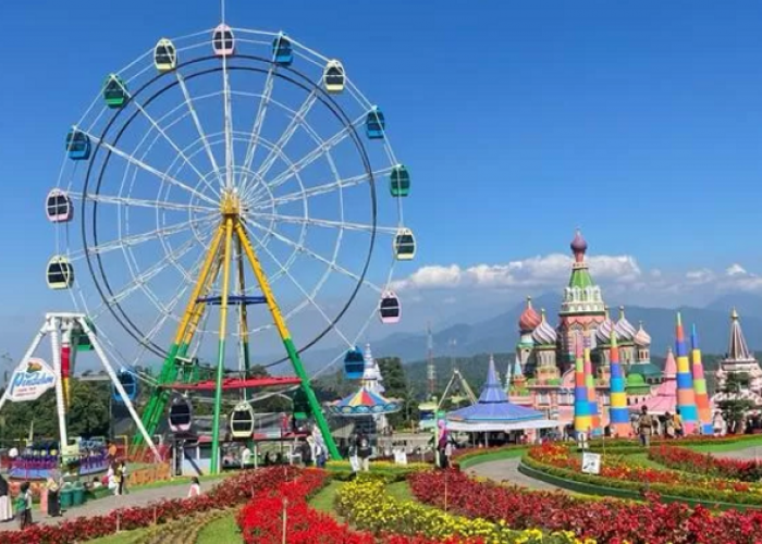 Pesona Taman Bunga Celosia di Semarang Jadi Destinasi Wisata Paling Hits 